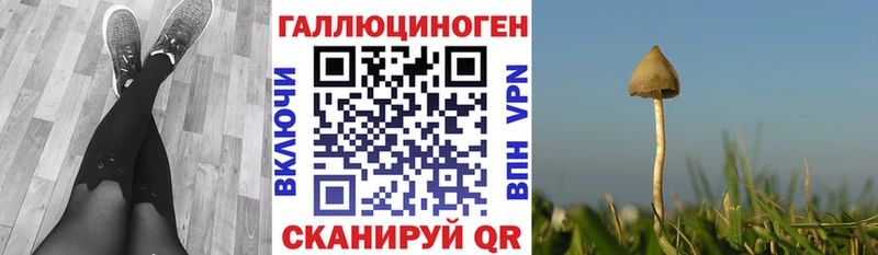 Псилоцибиновые грибы GOLDEN TEACHER купить Геленджик